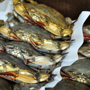 Fresh Softshell Blue Crab