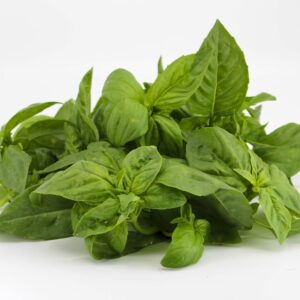 Organic Fresh Basil