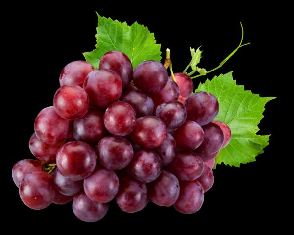 Red Seedless Grapes