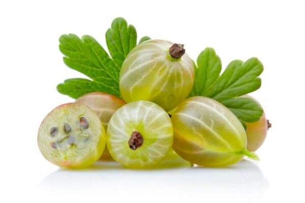 Ripe Gooseberries